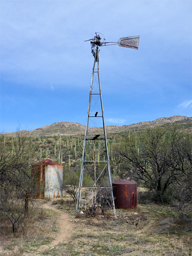 Deer Camp