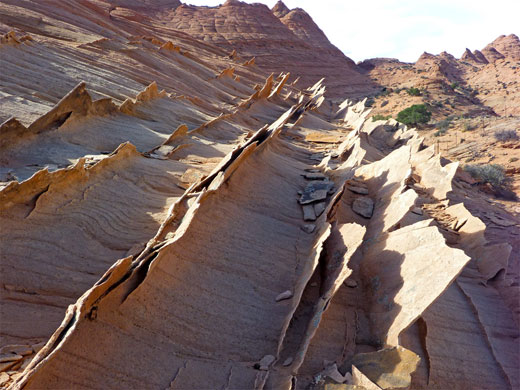 Parallel fins