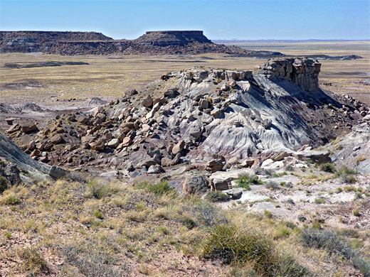 Mesas, badlands and grassy plains