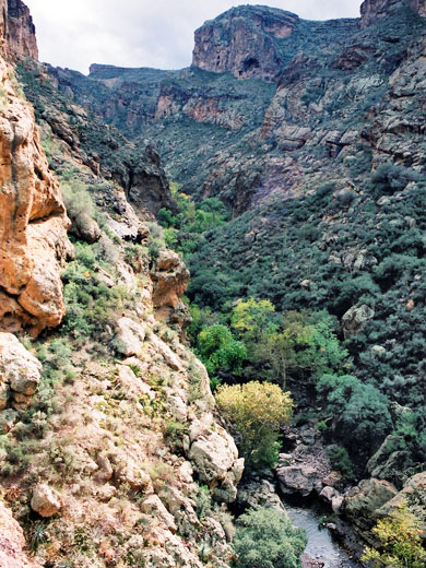 View up the canyon