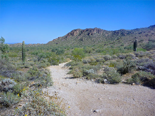 Path along Ford Canyon