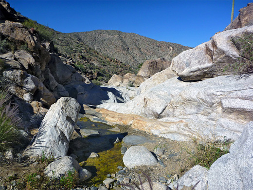 Pool in Ford Canyon