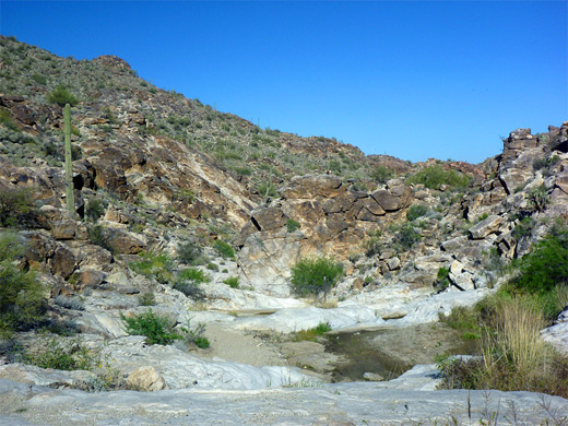 Dried-up pool