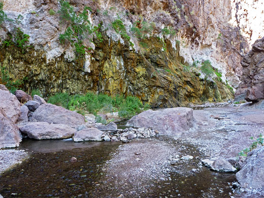 Lower end of the stream
