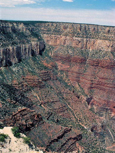 The Bright Angel Trail