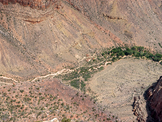 Havasupai Gardens
