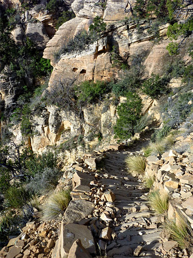 Steps on the Grandview Trail