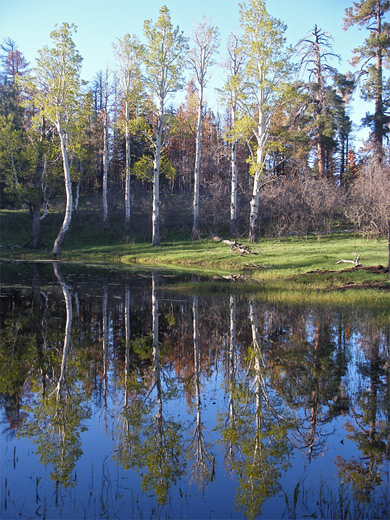 Greenland Lake