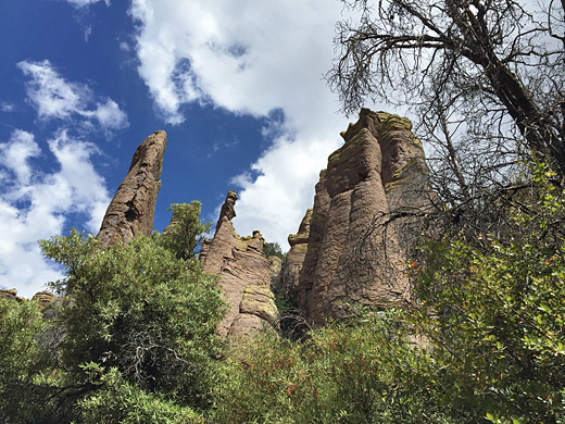 Chiricahua Hailstone Trail