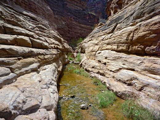 Narrows of Hermit Creek