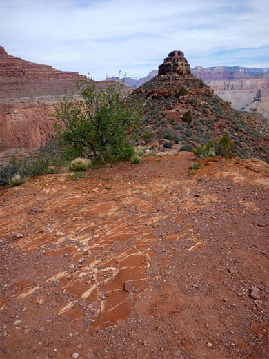 Lookout Point