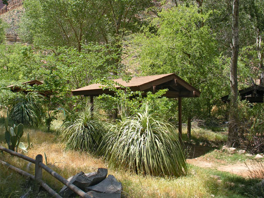 Trees at Havasupai Gardens