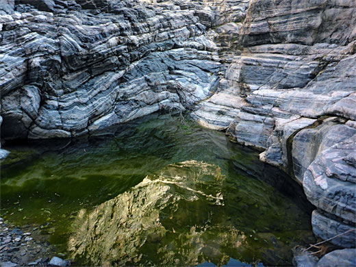 Reflections on a pool, Ives Wash