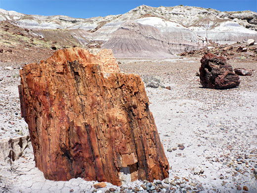Red-orange log