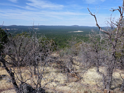 View from KA Hill