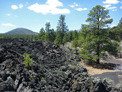 Edge of the lava