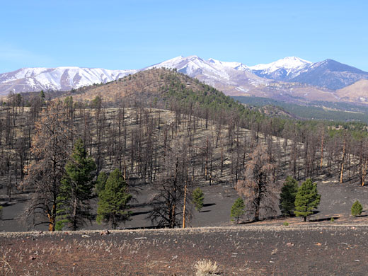 San Francisco Peaks