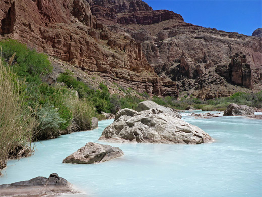 Bushes beside the Little Colorado River