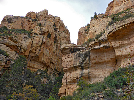 Vertical cliffs