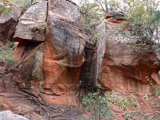 Reddish cliff beside the creekbed