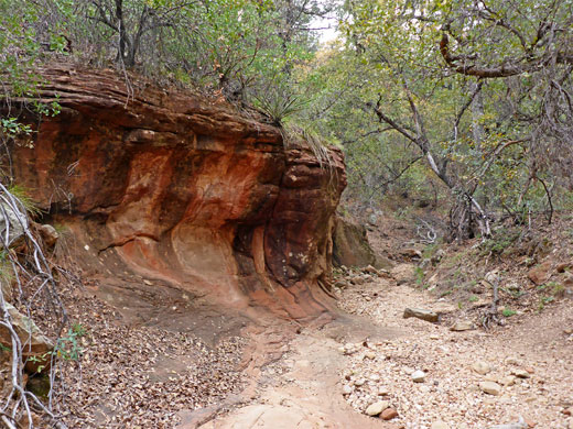 Dry streambed