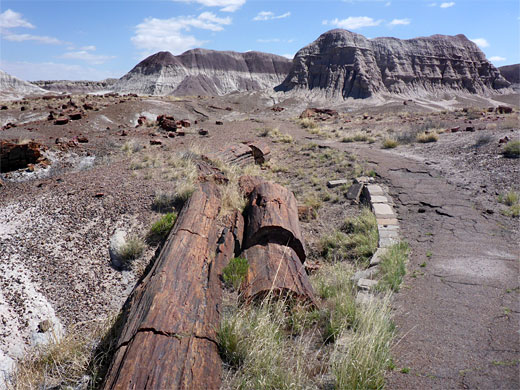 Paved path through the badlands