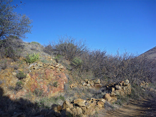 Ruins of a miner's cabin