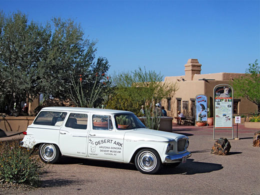 Arizona-Sonora Desert Museum