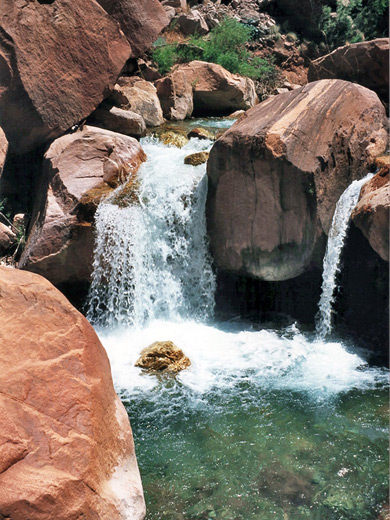 Pool along Bright Angel Creek