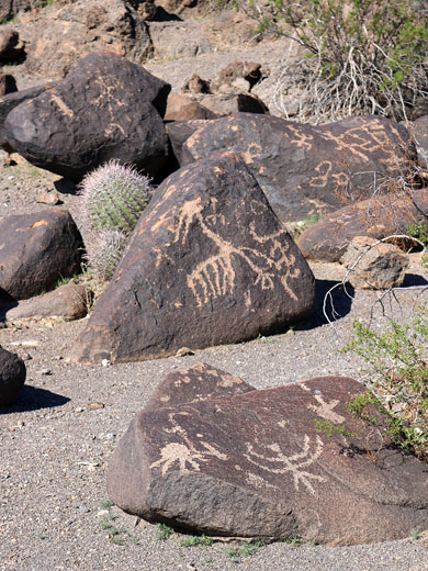 Varied designs on volcanic boulders