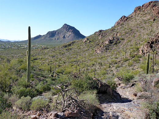 The view west, towards Golden Gate Mountain