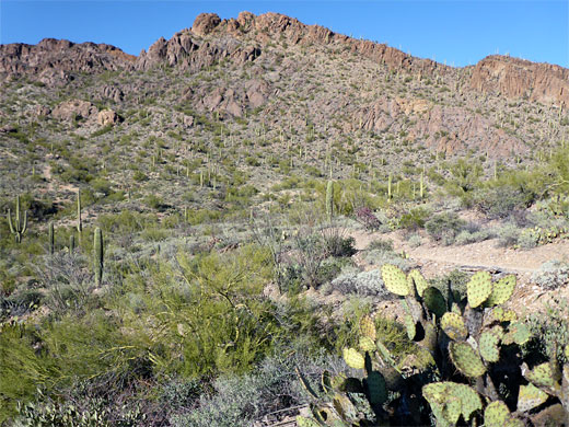 Peak 3379 - elongated summit to the north