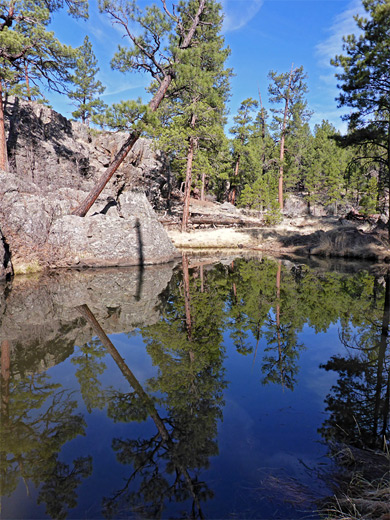 Reflections on a pool, Pomeroy Tanks