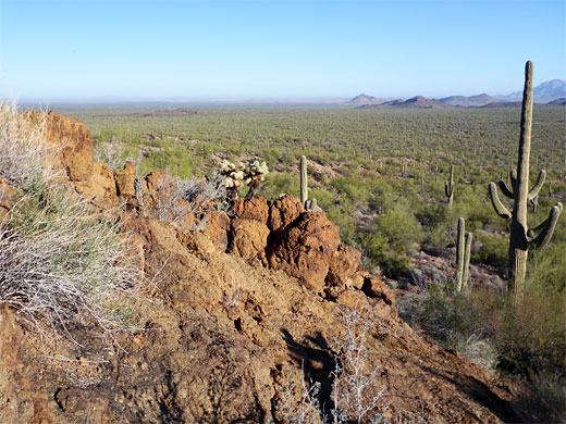 The view north