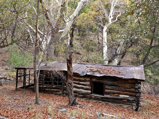 James Cabin