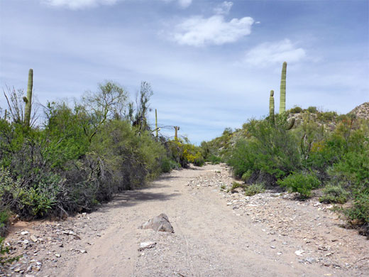 Sandy wash