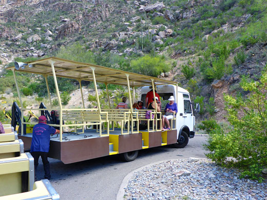 Sabino Canyon Tram