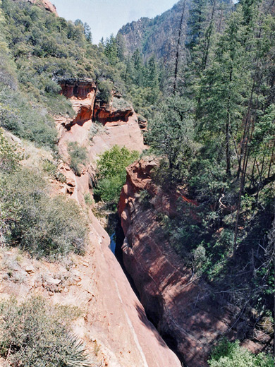 Above the canyon