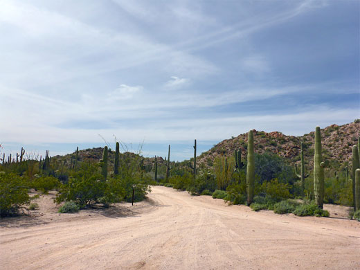 Senita Basin picnic area