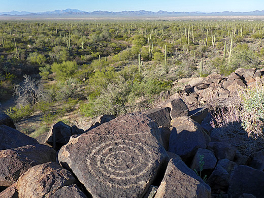 Spiral petroglyph