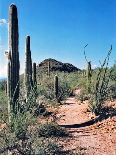 Valley View Overlook Trail