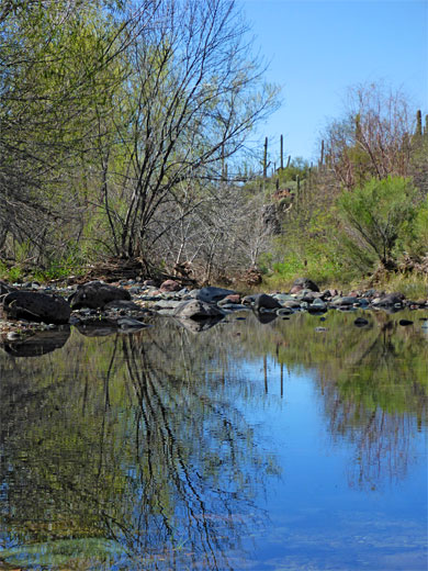 Reflections on Cave Creek