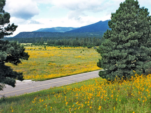 Meadow near the west entrance