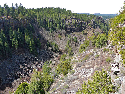 Upper east fork of Sycamore Canyon