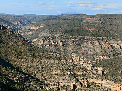 View north over the canyon