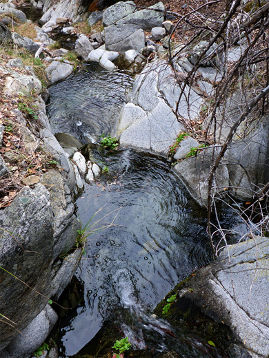 Two pools below Sylvester Spring