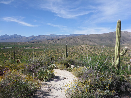 Tanque Verde Ranch