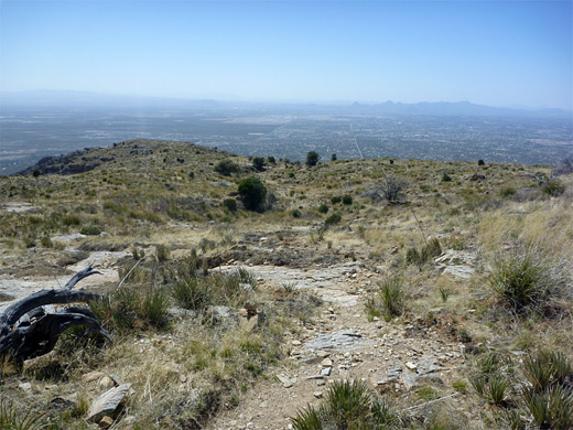 Above the Tucson suburbs