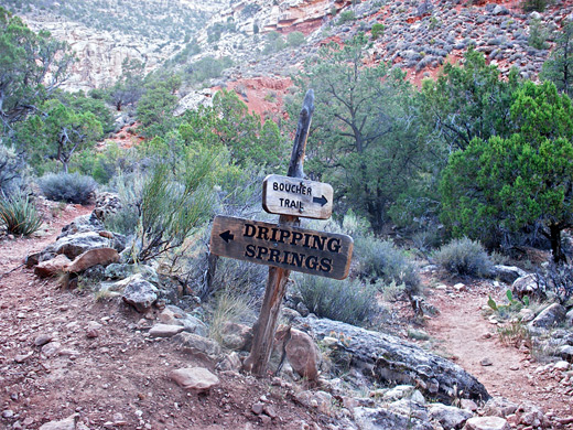 Junction with the Boucher Trail