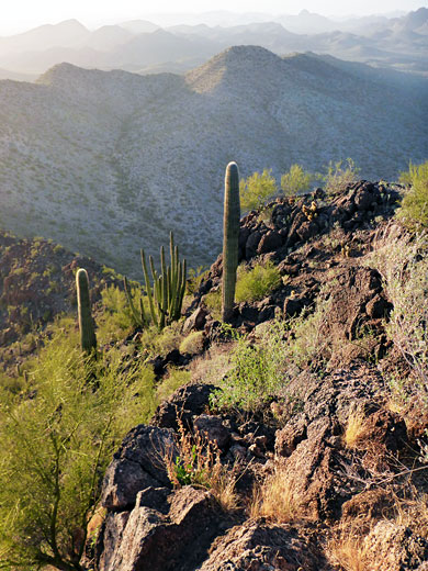 Rocky hillside to the north